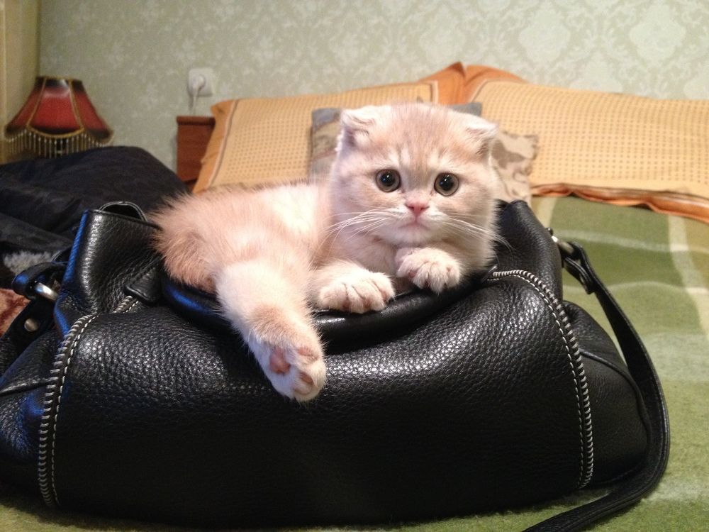 Фотография автора Южный Взгляд