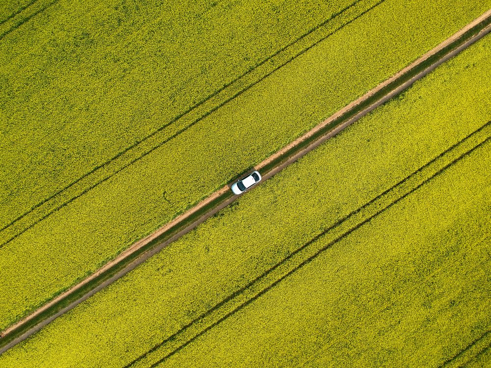 Photograph by Дорофеева Анна