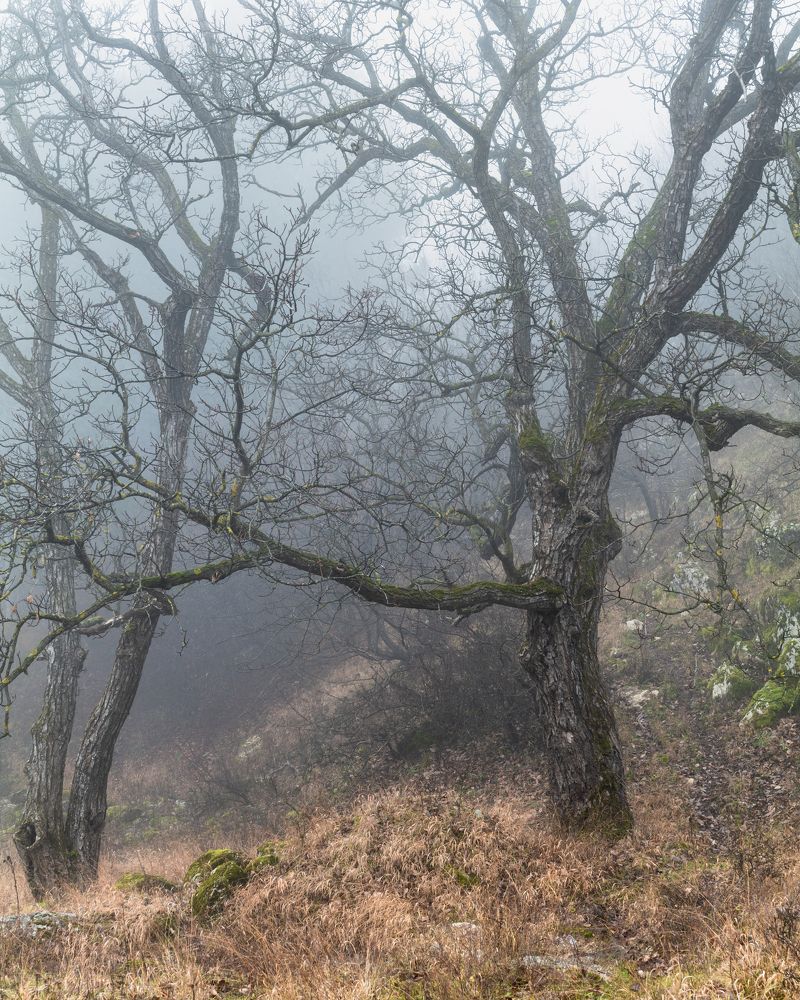 Photograph by Konstantin Stoianov