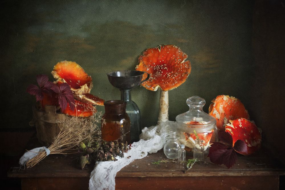 Photograph by Зимина Лионелла