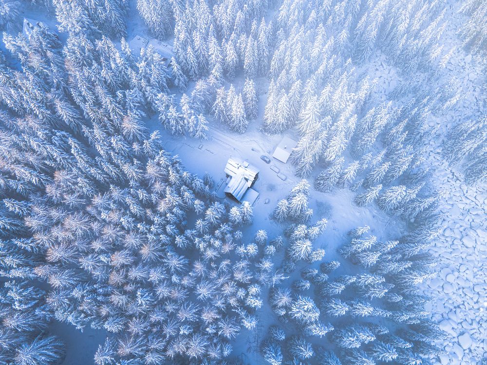 Winter forest in Bulgaria