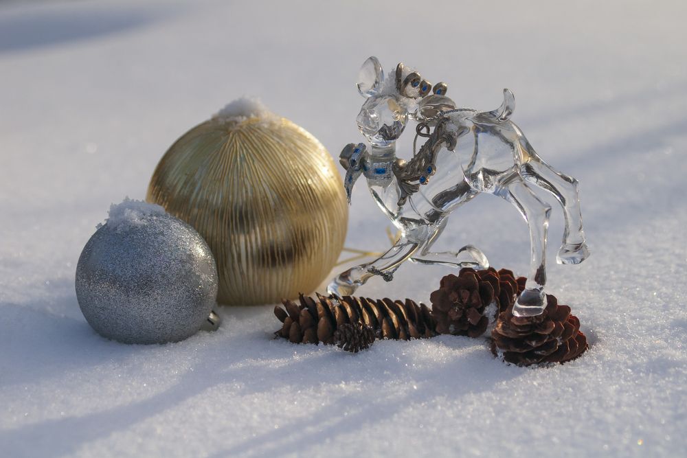 Photograph by Емельянов Алексей