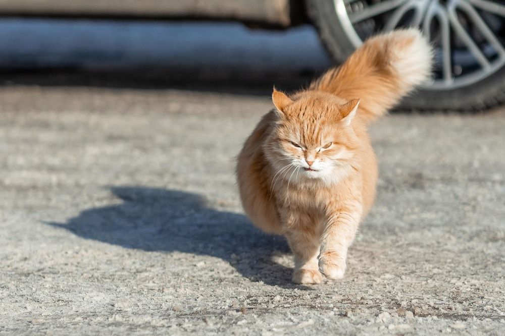 Photograph by Марина Стротова