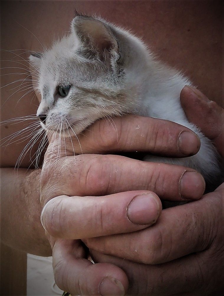 Photograph by Anna Zima