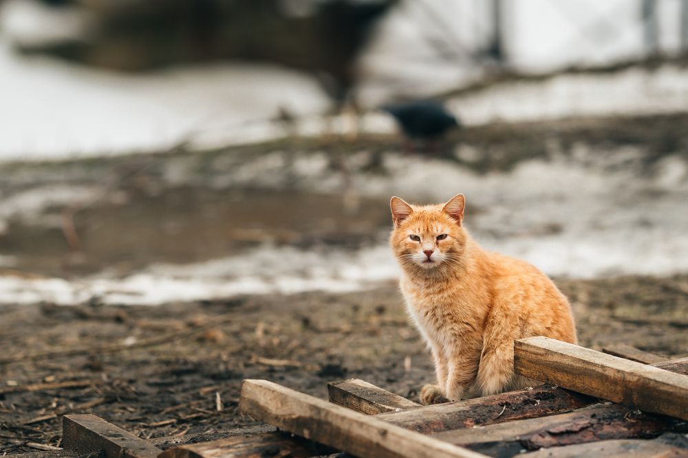 Photograph by Михаил Архипов