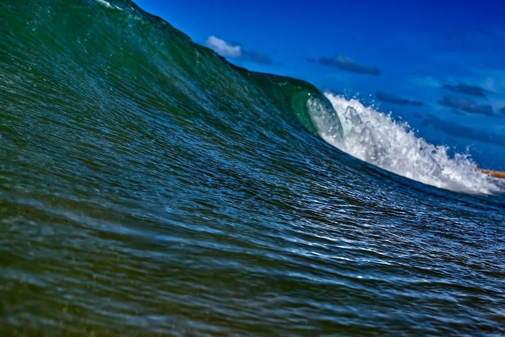 Photograph by Michael