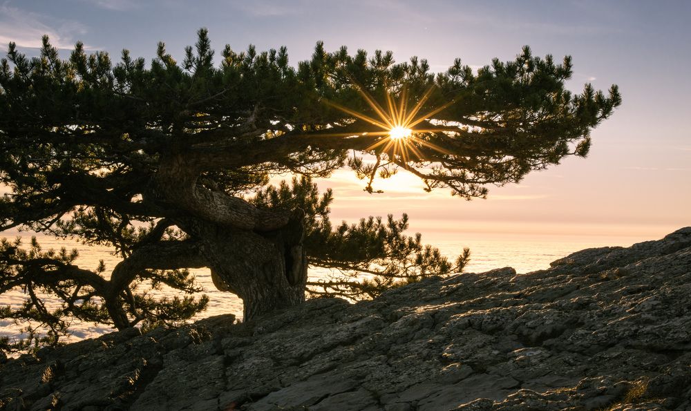 Photograph by Ольга Аблекова