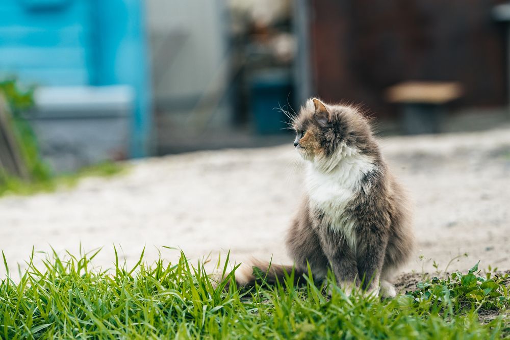 Photograph by Михаил Архипов