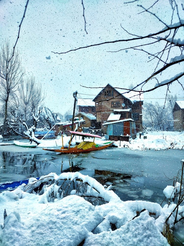 Photograph by Murtaza Ali