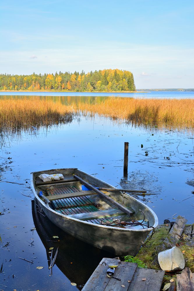 Photograph by Александр Калегин