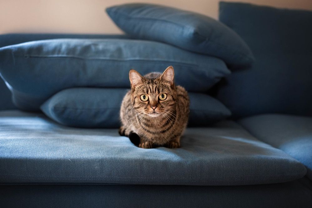 Photograph by Кристина Чижмар