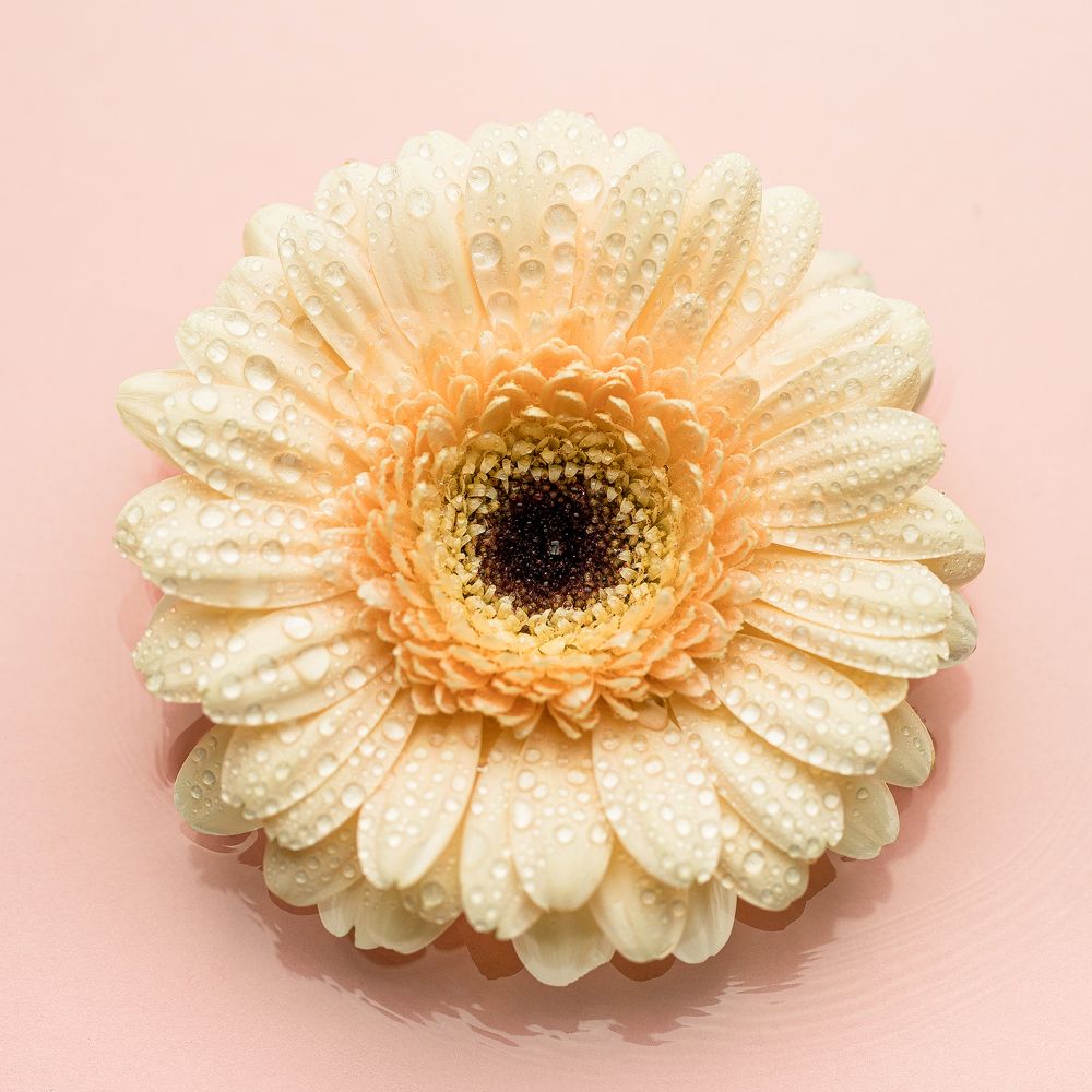 Фотография автора Елена Ельшина