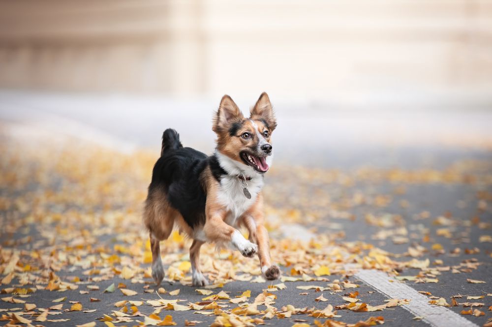 Photograph by Кристина Чижмар