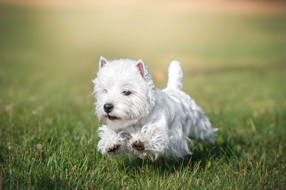 Photograph by Кристина Чижмар