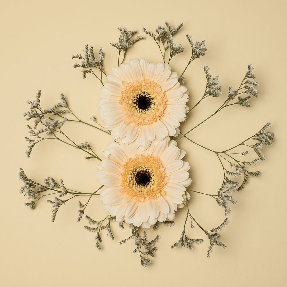 Фотография автора Елена Ельшина