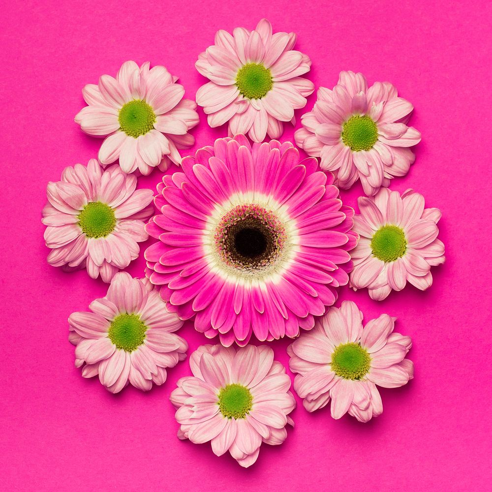 Фотография автора Елена Ельшина