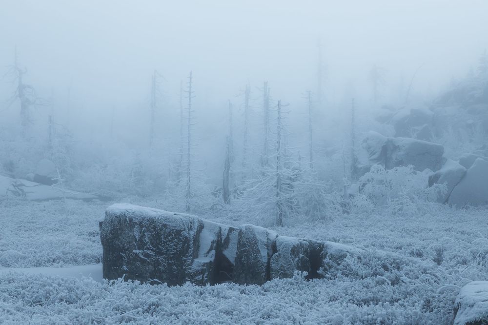 Photograph by Алексей Ретюнских