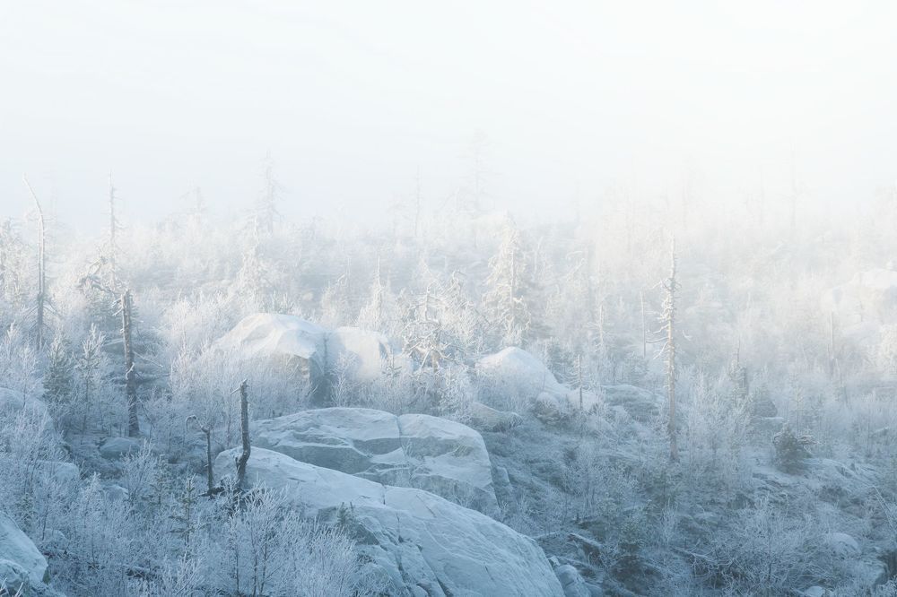 Photograph by Алексей Ретюнских