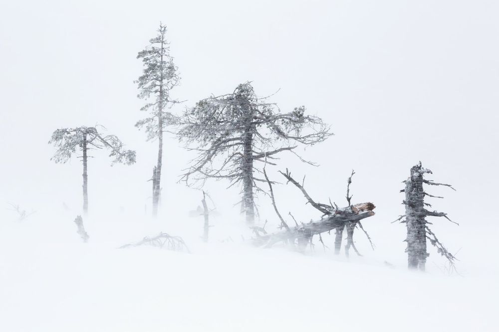 Photograph by Алексей Ретюнских