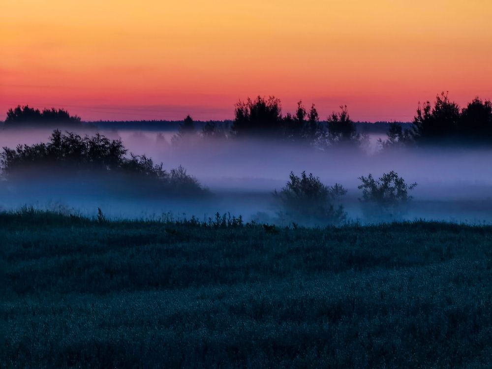 Photograph by Alexandr