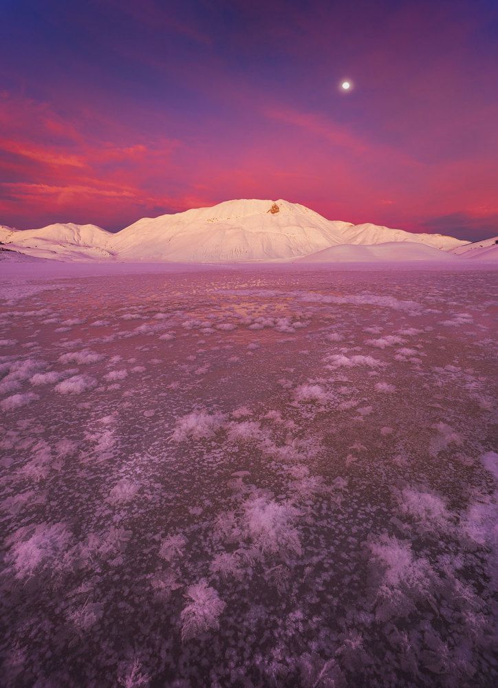 Photograph by Stefano Gelli