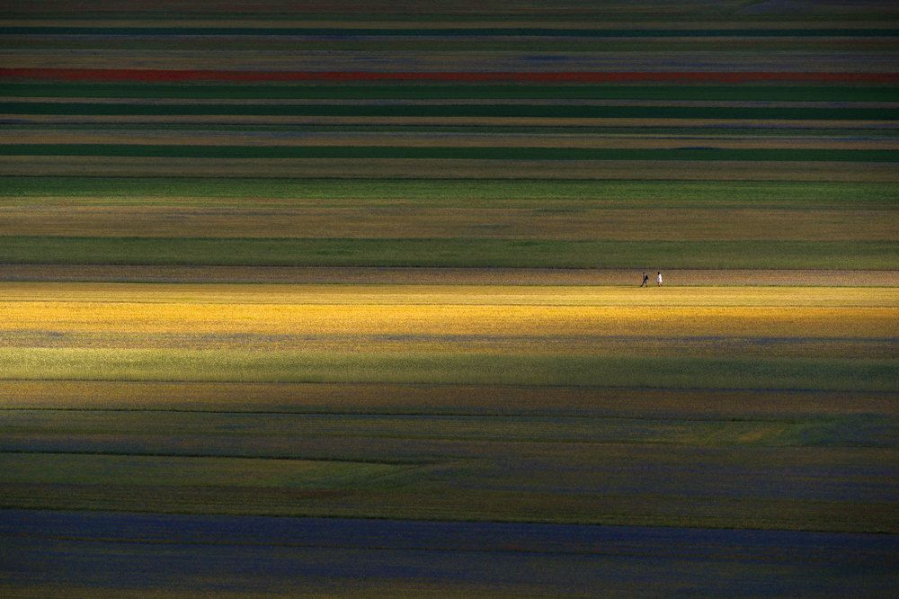 Photograph by Stefano Gelli