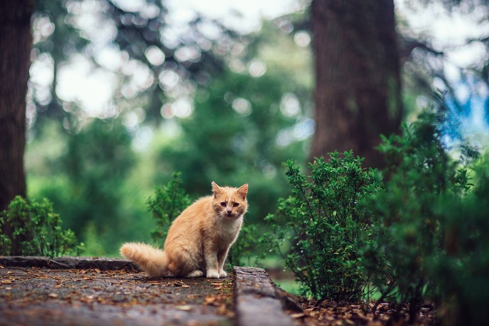 Photograph by Михаил Архипов