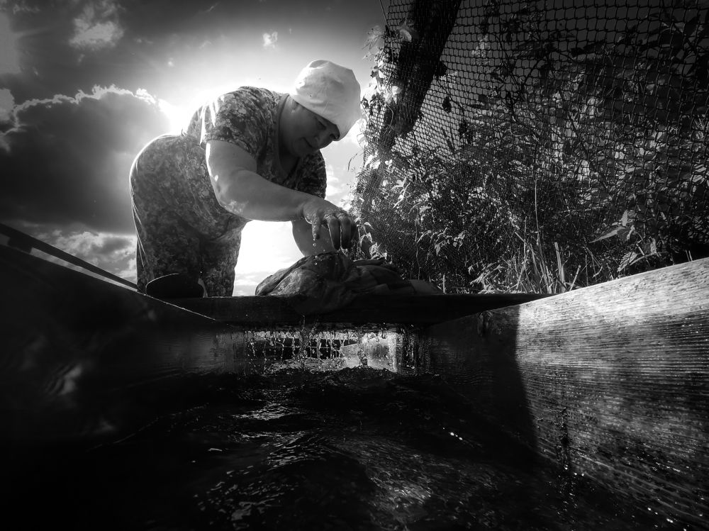 Photograph by Максим Шарыгин