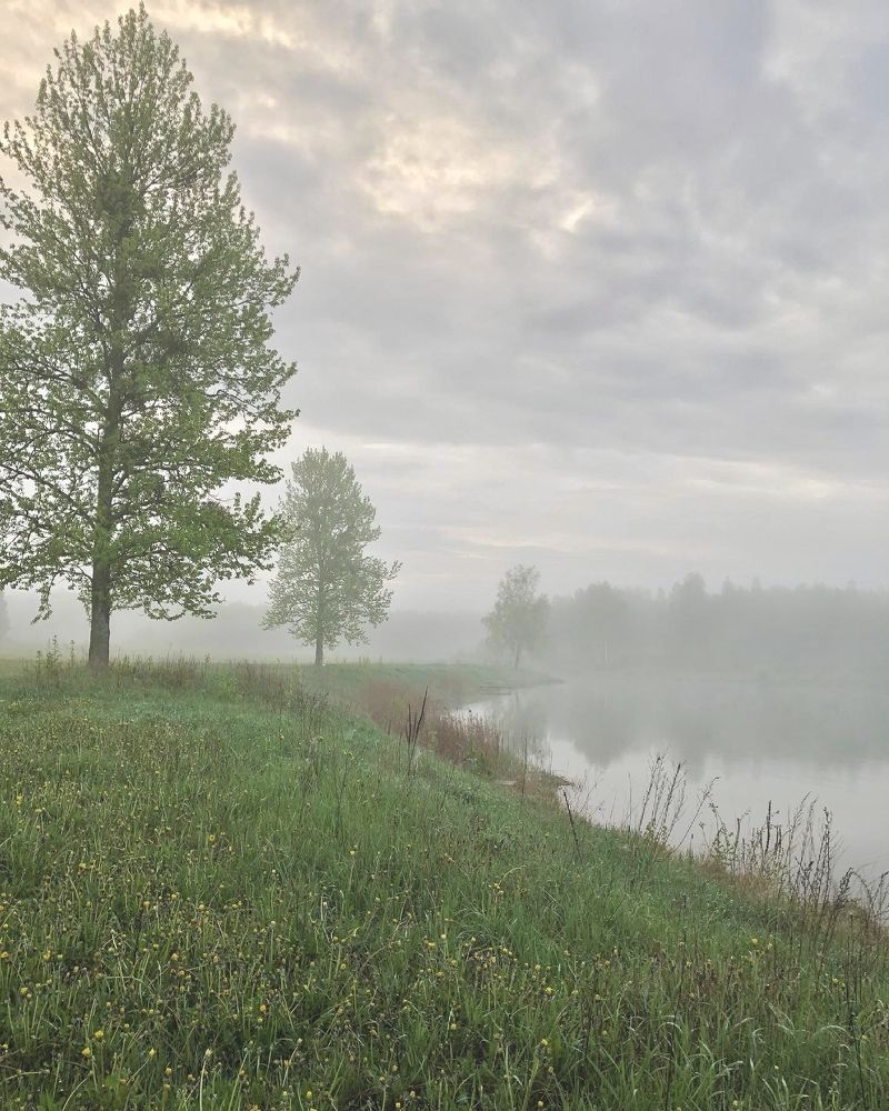 Photograph by Лариса Акинчиц