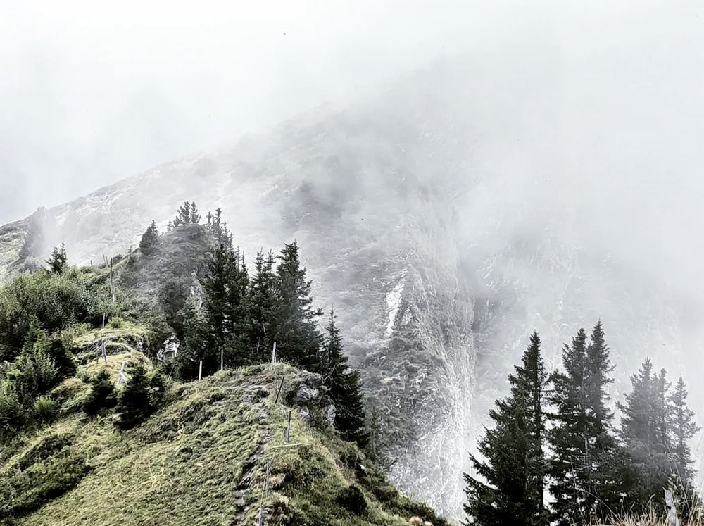 Photograph by Kristina Frizyuk