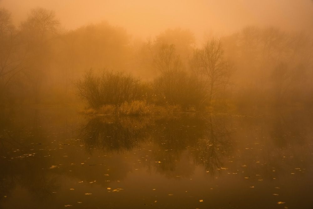 Photograph by Алексей Шевченко