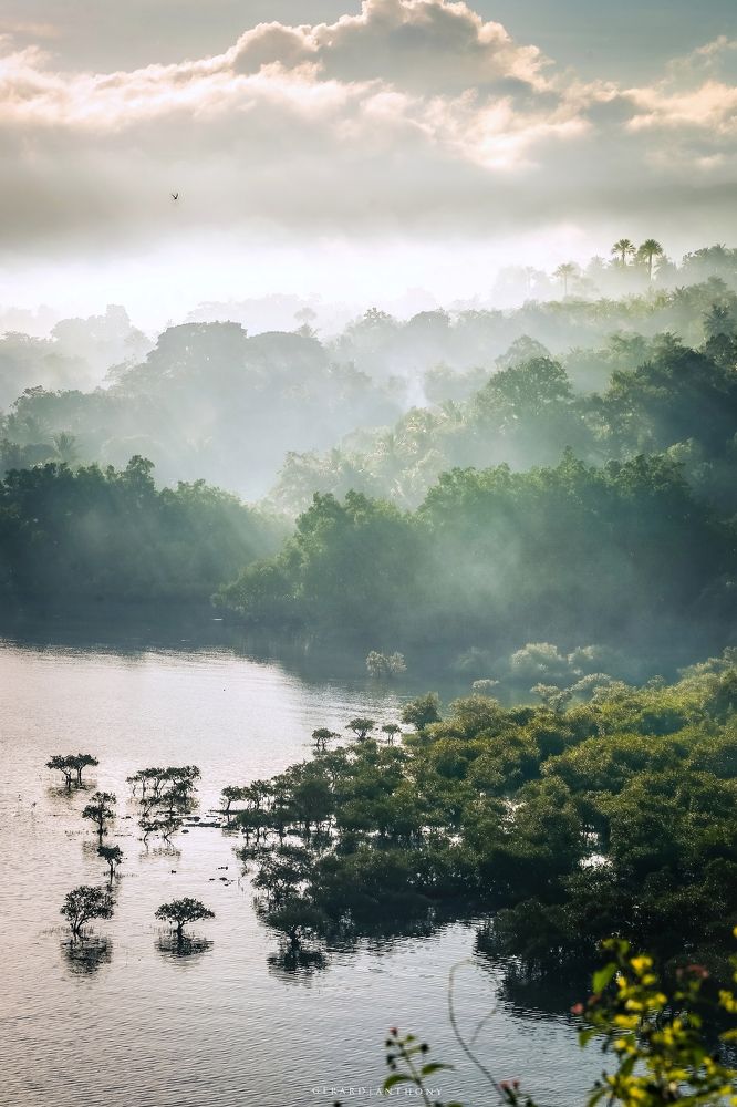 Photograph by Gerard Anthony Aguaviva