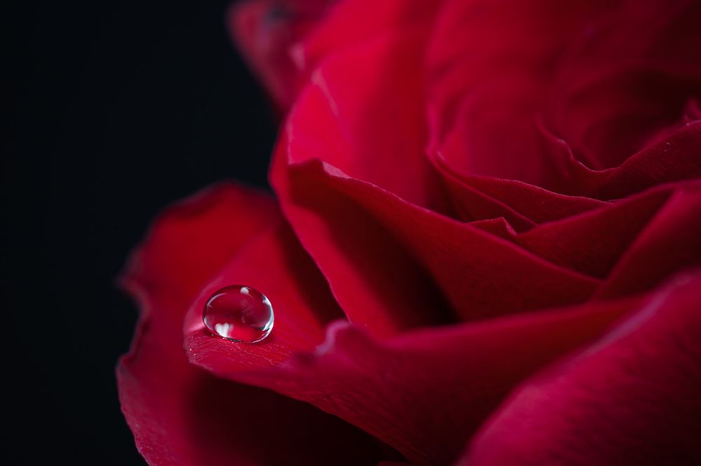 Photograph by Nada Taresh