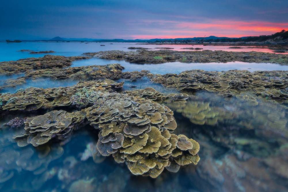 Sắc màu biển đảo tỉnh Phú Yên, Việt Nam