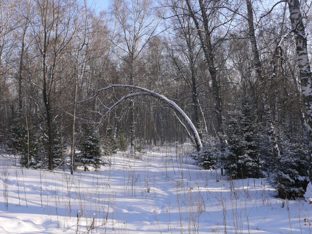 В эко-парке Гремячая Грива