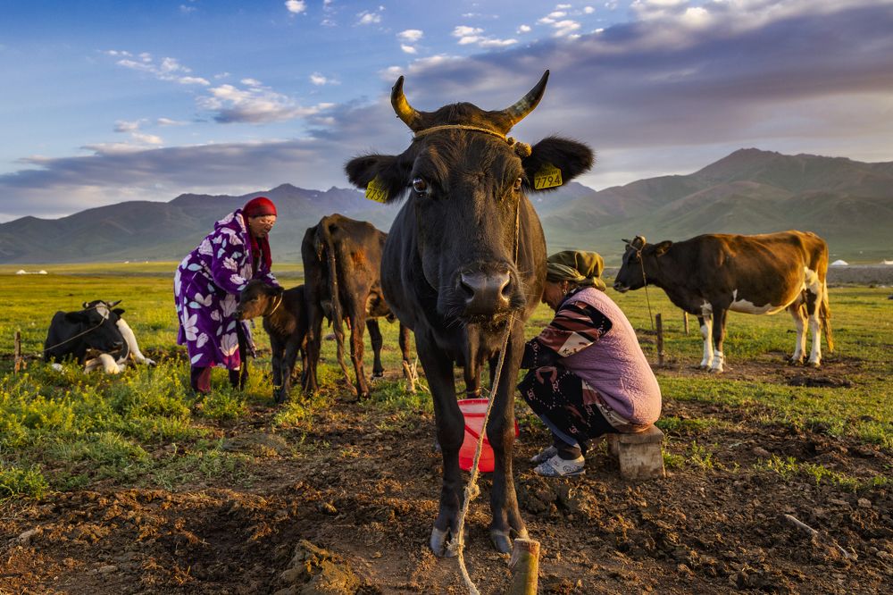 Photograph by Najat Alfarsani