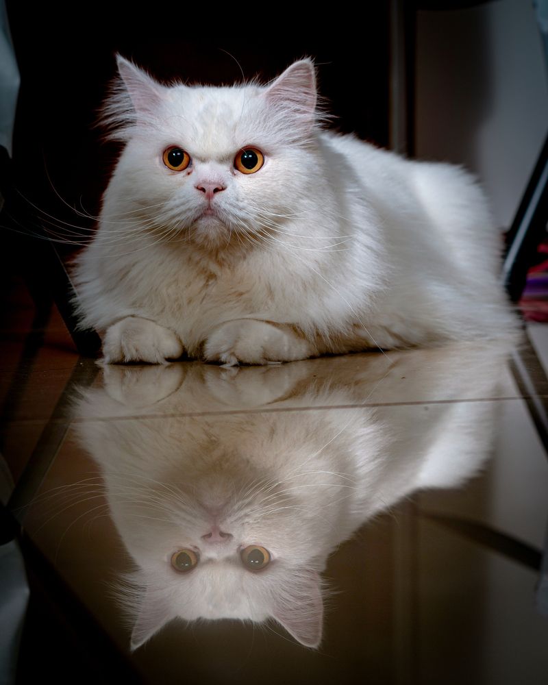 Photograph by Yustiawan