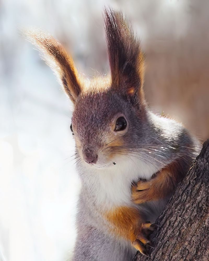 Photograph by Маргарита Смоленская