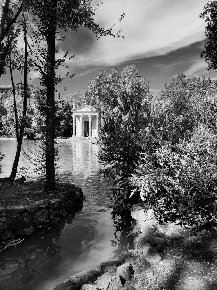 Фотография автора Giuliano Vollaro