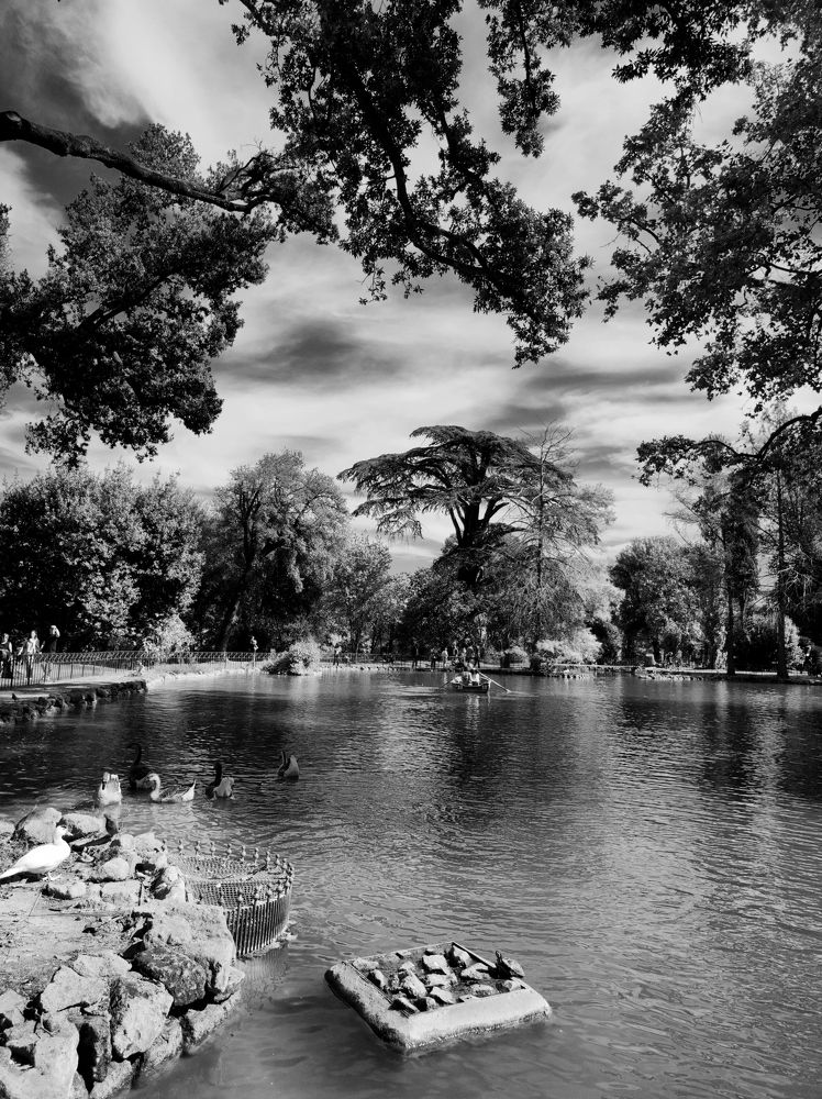 The city lake