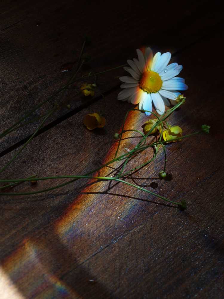Photograph by Анастасия Рудаева