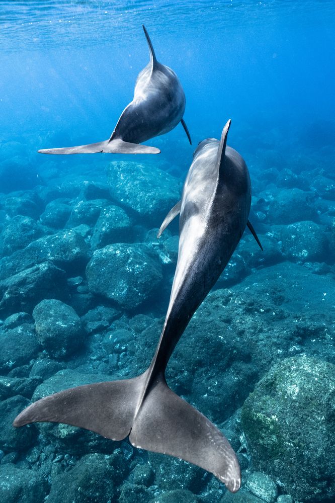 Photograph by AKASAKA AKIRA