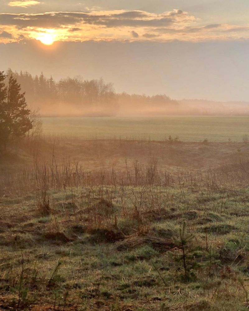 Photograph by Лариса Акинчиц