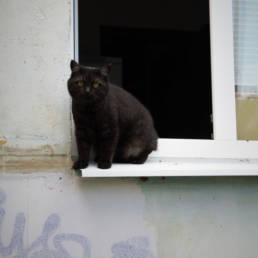 Photograph by Ирина Фатеева