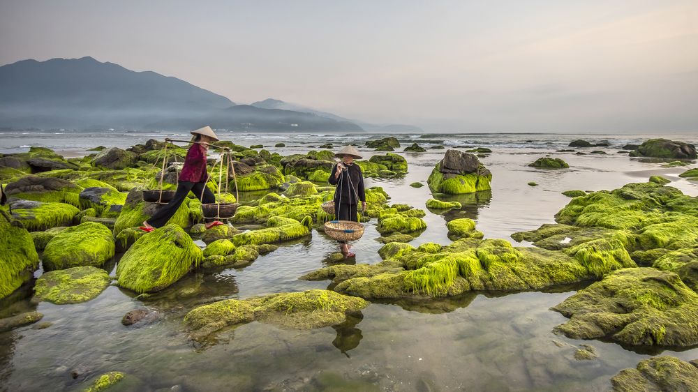 Photograph by Dang Khiem Pham