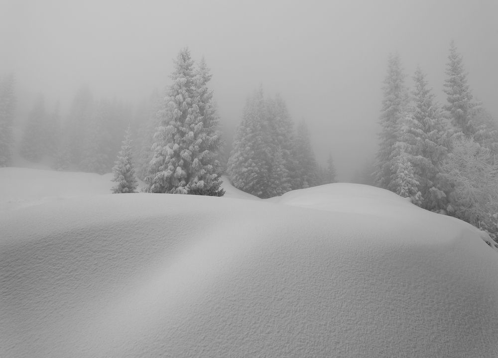 Photograph by Матвеев Николай