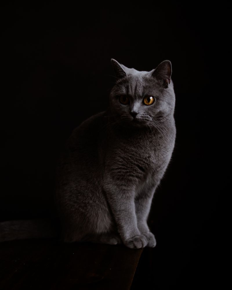 Photograph by Nelli Polle