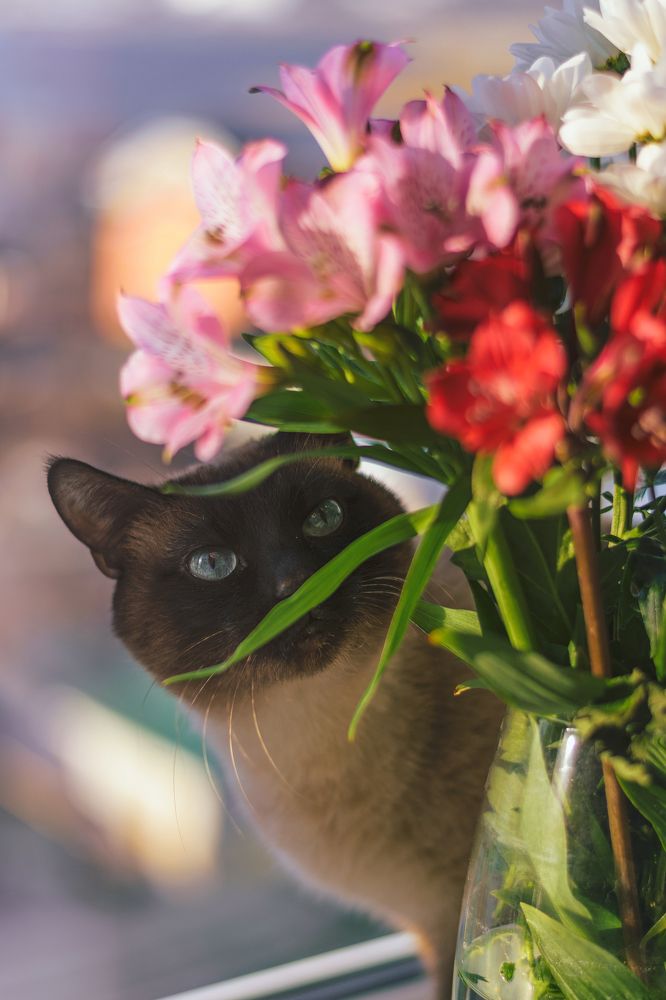 Photograph by Виктория Берденкова