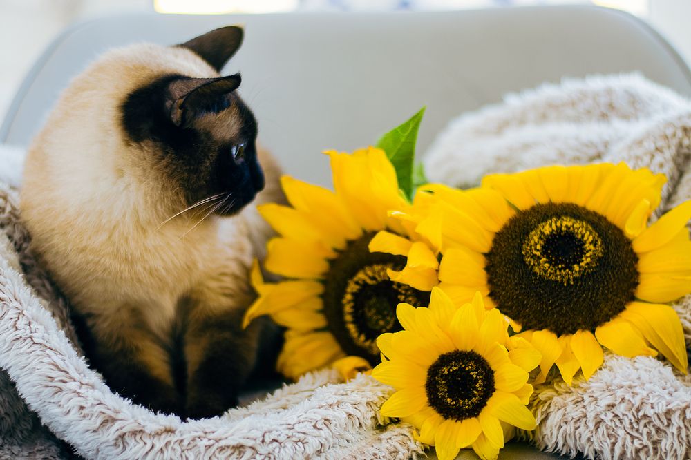 Photograph by Виктория Берденкова