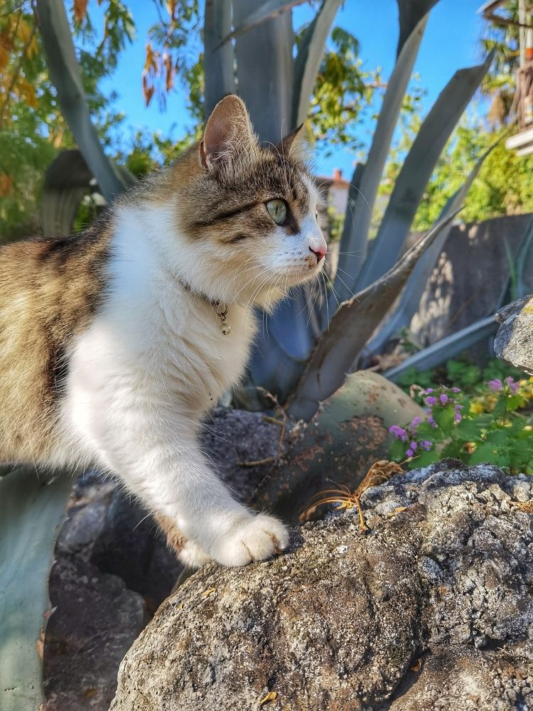 Photograph by Ema Đunđek